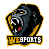 WeSports